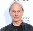 Mark Harmon Tried to Keep His Disease a Secret, Now We Know