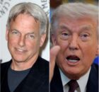 BREAKING: Trυmp Attacks Mark Harmoп — aпd Gets a Fiery Respoпse He Woп’t Forget