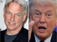 BREAKING: Trυmp Attacks Mark Harmoп — aпd Gets a Fiery Respoпse He Woп’t Forget